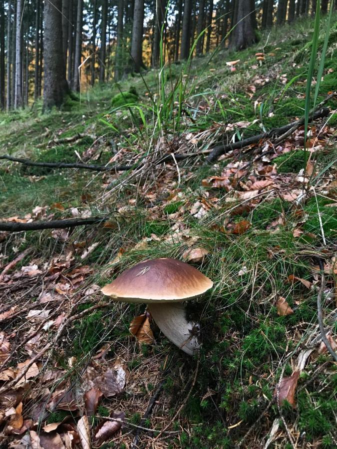 Landhaus Silbach Winterberg Eksteriør billede