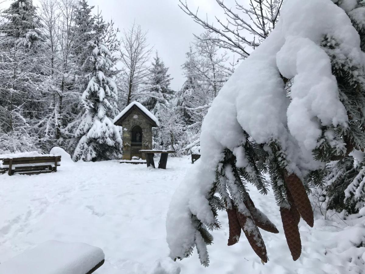 Landhaus Silbach Winterberg Eksteriør billede